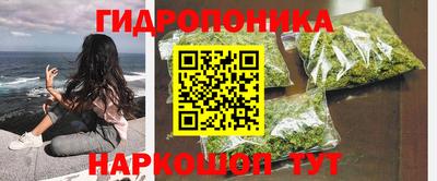 стафф Гусиноозёрск
