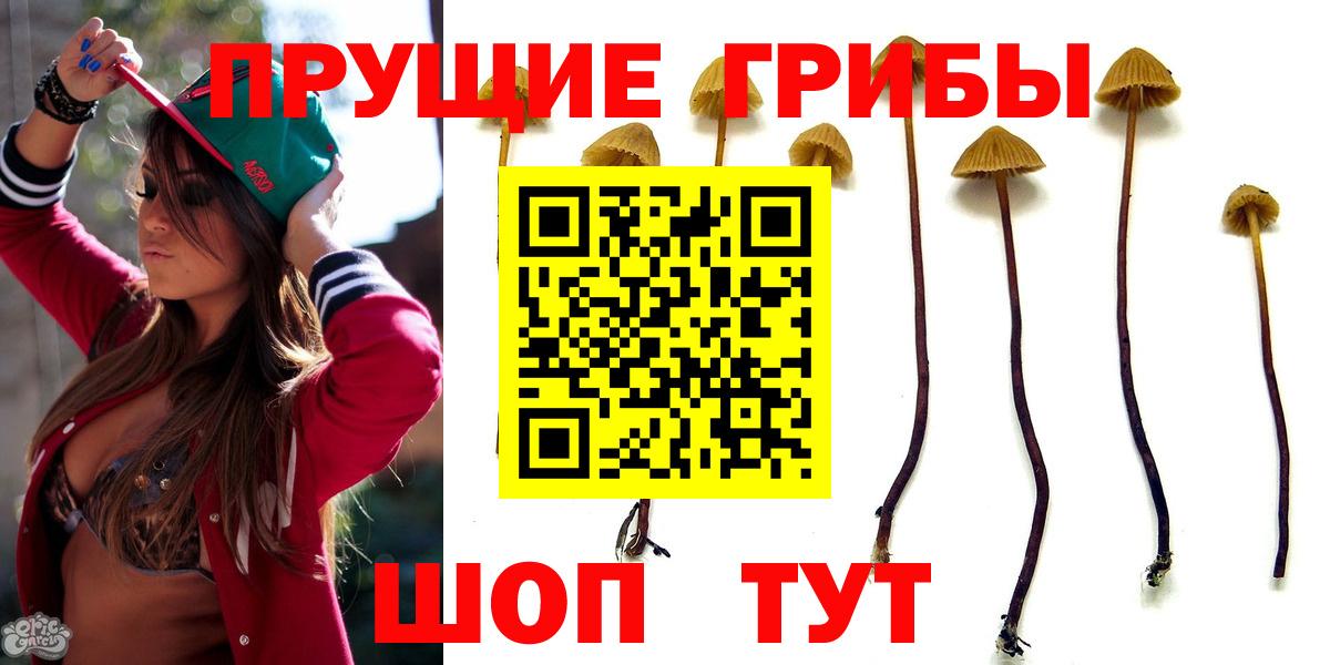 Галлюциногенные грибы Cubensis  Вход с VPN  Димитровград 